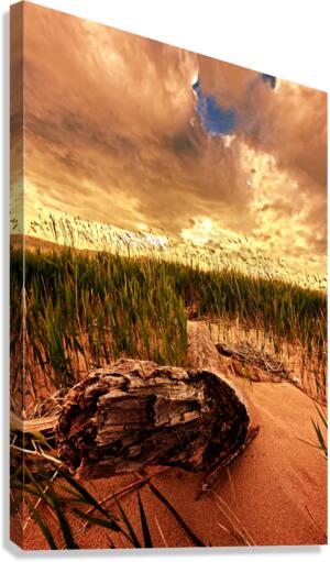 DP2L5942 Edit Canvas Print