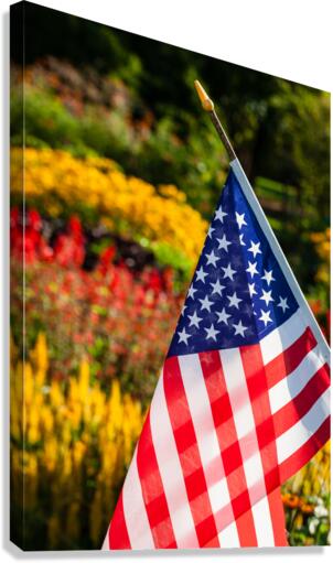 DP2L0280 Canvas Print