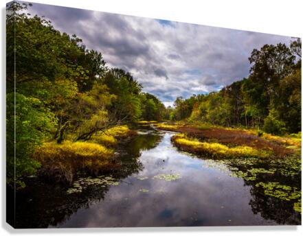 DP2L5377 Edit Canvas Print