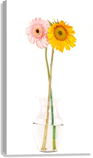  P2L6068 Canvas Print