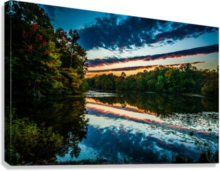 DP2L6221 Canvas Print