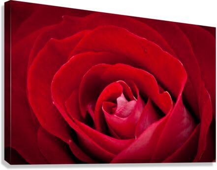  P2L6106 Canvas Print