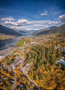 Nelson Fall I
