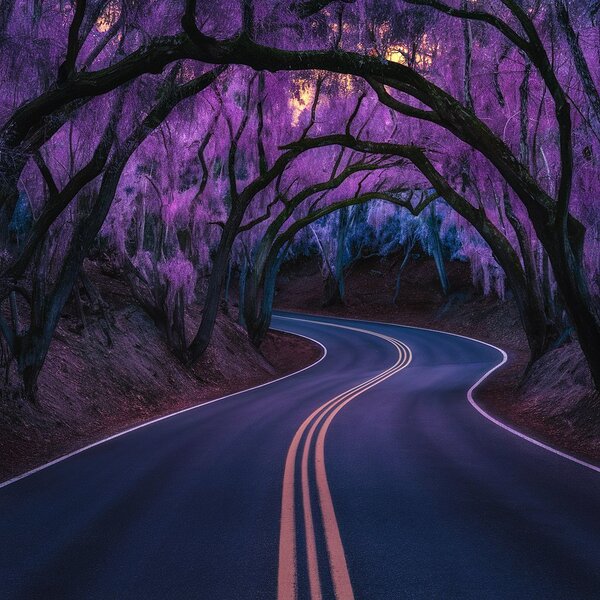 bright and dark areas by HMIMI