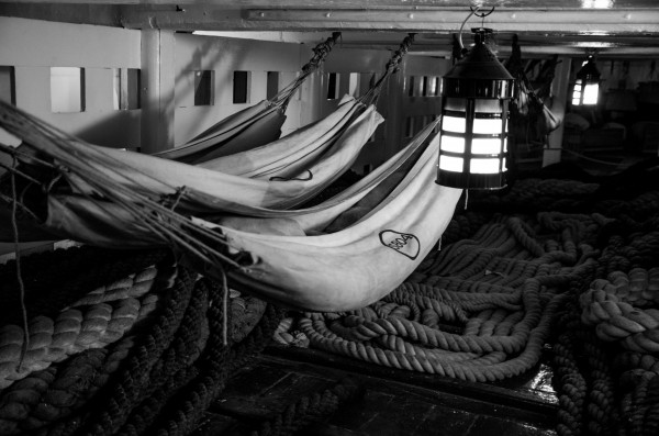 Tangled by Bunnoffee Photography