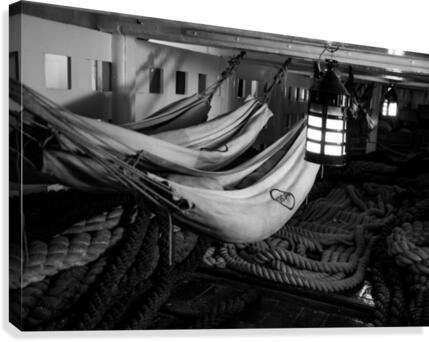 Tangled Canvas Print