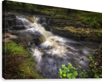 Oh Deer Canvas Print