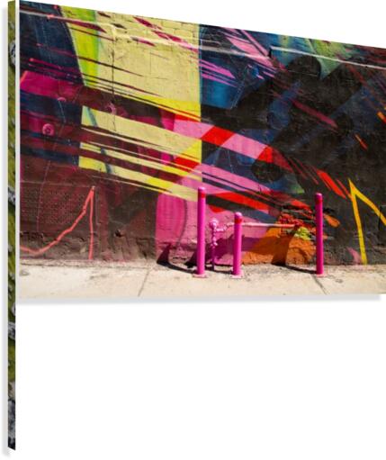Graffiti Canvas Print