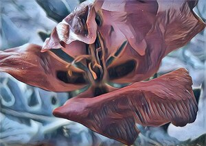 dancing flower