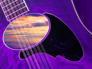 12 String Passion