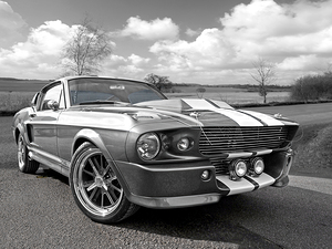 1967 Eleanor Mustang in Black and White