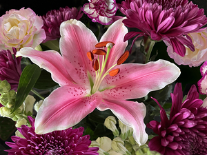 Pink Stargazer Lily Bouquet