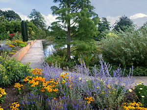 English Garden in Summer