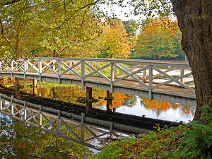 Autumn Reflections Footbridge Over the Lake