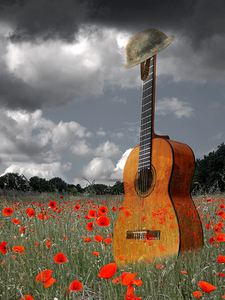 Battlefield Blues - Guitar in Poppy Field
