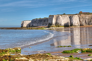 Botany Bay From The Rocks