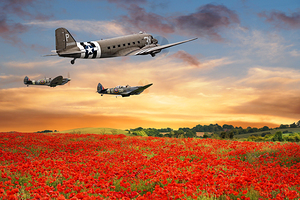 Dakota and Spitfires over Poppy Field