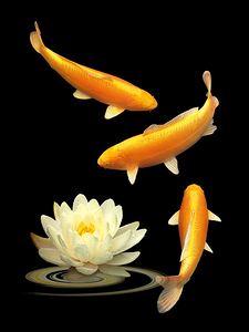 Golden Harmony Vertical