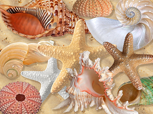 Golden Treasures of the Deep