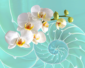 Intimate Fusion in Turquoise