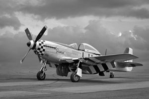 Janie p-51 in Black and White