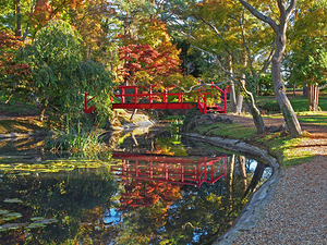 Japanese Garden Red Bridge Reflection