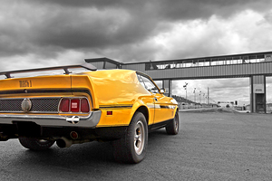 Mach1 Mustang Rear At The Drag Strip