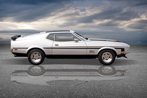 Mach 1 Mustang Reflections