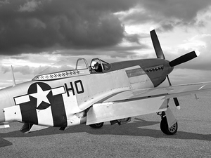 Mission Ready p-51 Black and White