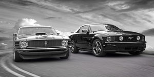 Mustang Buddies in Black and Whute