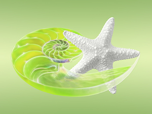Ocean Fresh