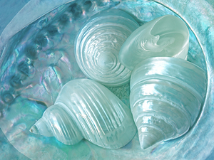Ocean Pearl Treasure