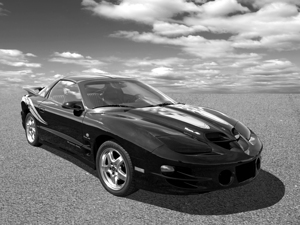 Pontiac Trans Am Ram Air in Black and White