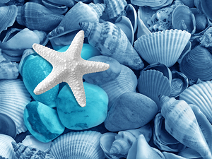 Starfish on the Beach in Blue
