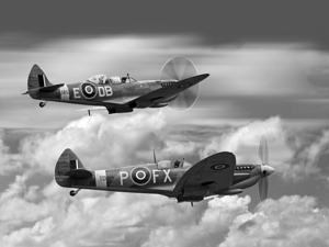 Spitfires Above The Clouds Black and White