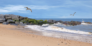 Summer Bliss - Coastal Panoramic