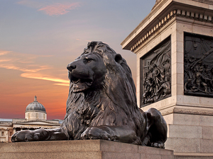 Trafalgar Square Lion Nelsons Column and National Gallery