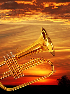Trumpet Sunset