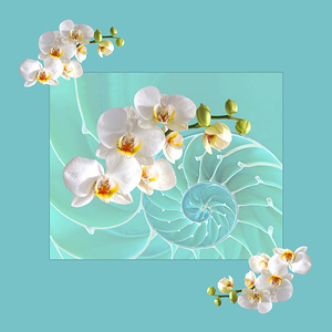 Turquoise Fusion
