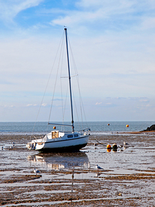 Waiting For High Tide