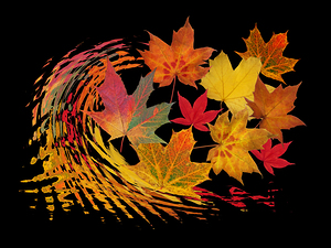 Warm Winds - Autumn Leaves Abstract