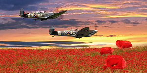 We Will Remember Them - Spitfires Over Poppy Field Pano