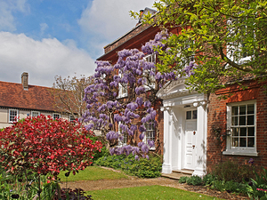 Wisteria House