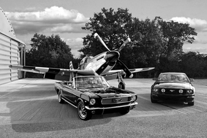 Mustangs With p51 Black and White