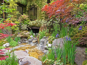 Paradise On Earth - Japanese Garden
