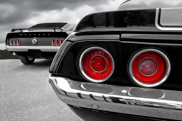 American Muscle Print
