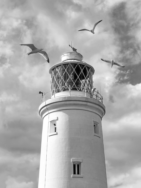Fly Past - Seagulls Round Southwold Lighthouse Black and White Print