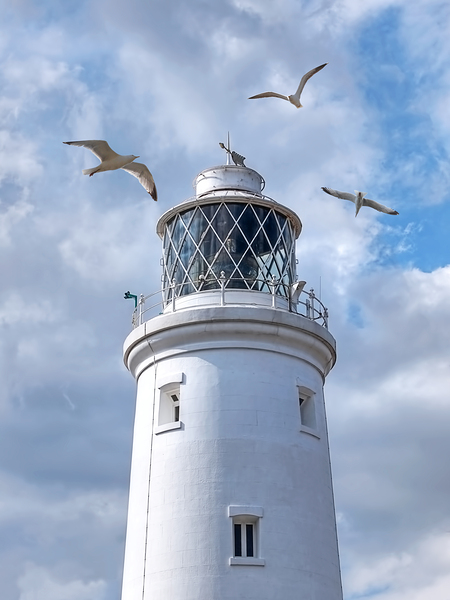 Fly Past - Seagulls Round Southwold Lighthouse Print