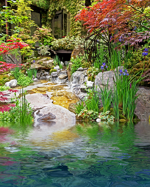 Japanese Garden Reflections Print