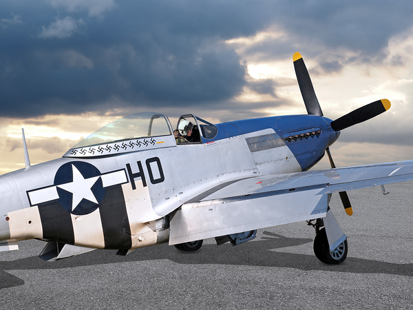 Mission Ready p-51 Print